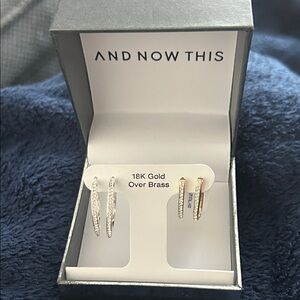 Gold and Silver Hoop Earrings